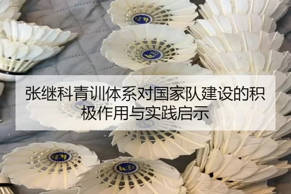 张继科青训体系对国家队建设的积极作用与实践启示
